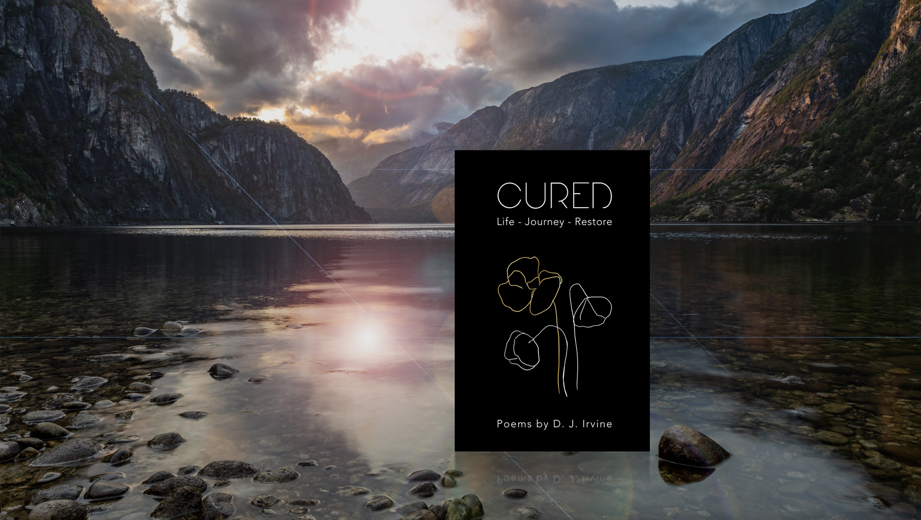 poetry-book-cured-new